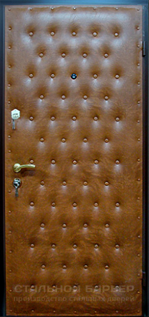 Дверь Винилискожа №2